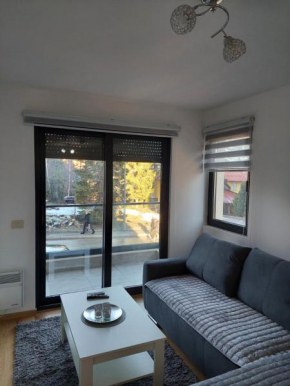 Apartman Kneginja Zlatibor
